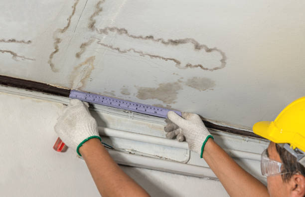 Reliable Sewage Cleanup contractor in Hillsborough, NC by Water Damage Irwin